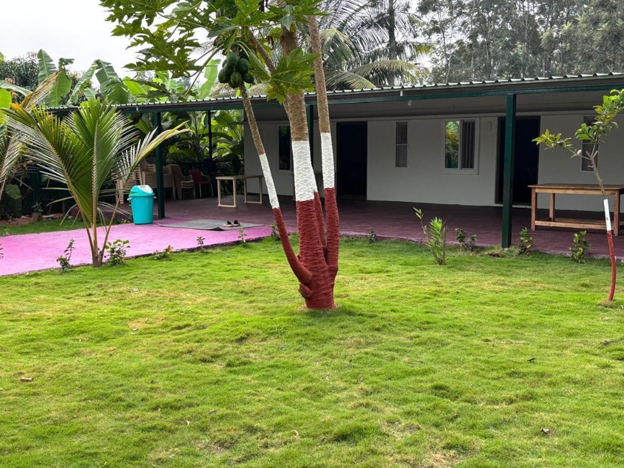 Bilwa Retreat Eco Stay & Sports Bengaluru Zewnętrze zdjęcie
